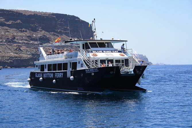 Half-Day Cruise Tour-Dolphin and Whale Watching - Common Questions