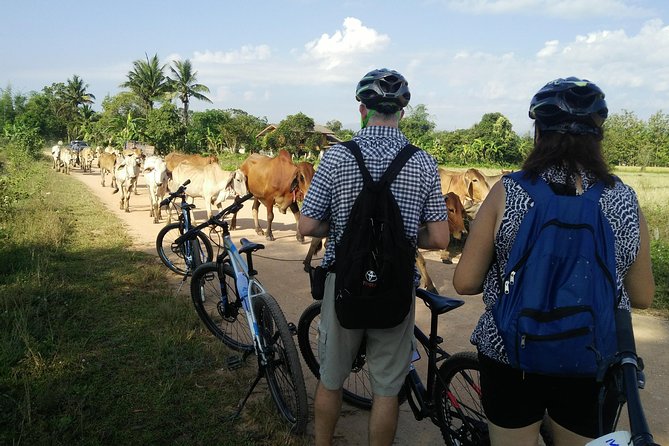 Half Day Cycling Tour to the White Temple - Directions