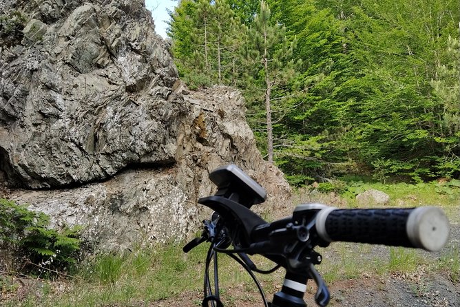 Half-Day E-Mountain Bike Adventure at Aoos Lake Metsovo - The Sum Up