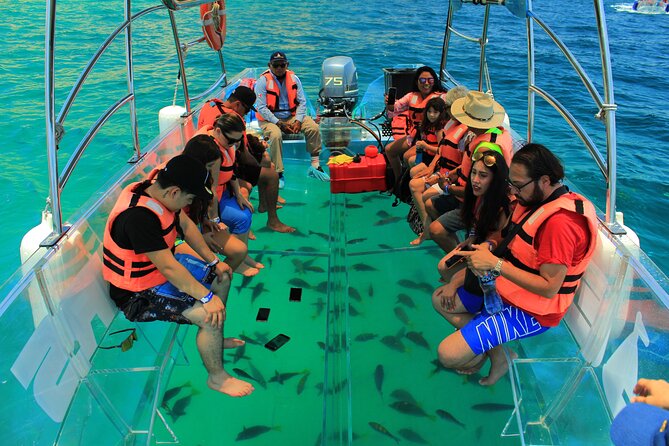 Half-Day Exploring the Arch of Cabo San Lucas Guided Tour - Booking and Contact Information