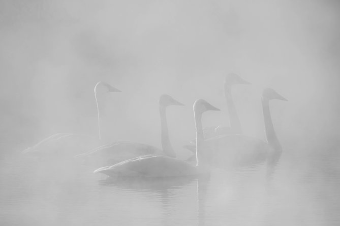 Half-Day Grand Teton Wildlife Private Safari Tour - Directions