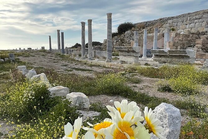 Half Day Guided Knidos Ancient City Tour - Common Questions