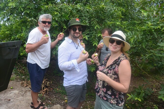 Half Day Hanoi Countryside Jeep Tour: History Culture Daily Life - Small-Group Jeep Tour With Transfers From Hotel
