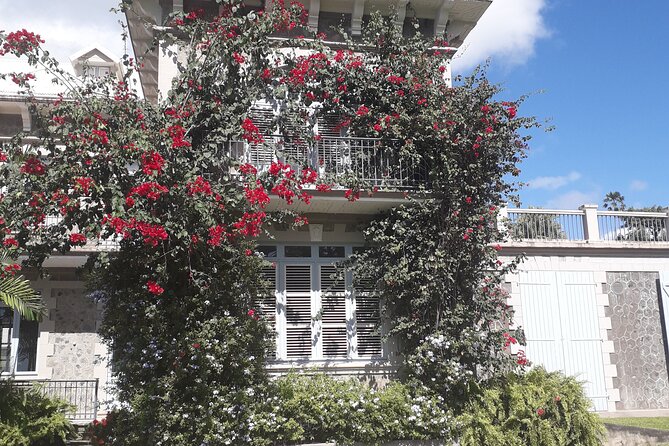 Half-Day Nature and Panorama Tour in Martinique - Common Questions