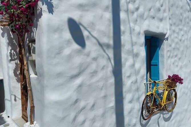 Half-Day Naxos Old Town, Castle and Apollo Temple Private Tour - Directions