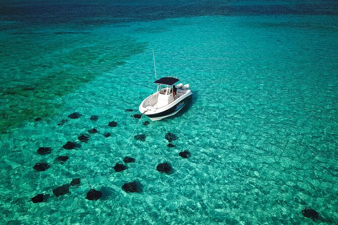 Half Day Private Boat Charter in Grand Cayman - The Sum Up