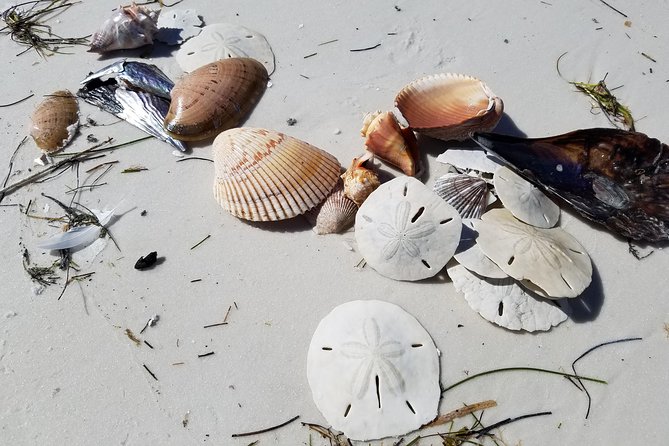 Half-Day Private Boating On Black Hurricane - Indian Rocks Beach - Traveler Feedback and Ratings