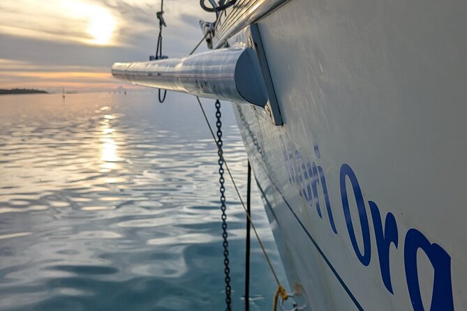 Half Day Private Excursion Self-navigate Mori Ora - Cancellation Policy