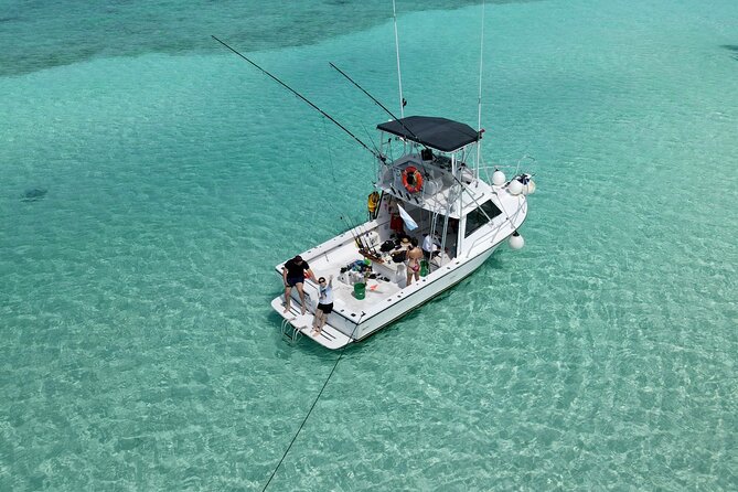 Half Day Private Fishing Charter in Cozumel - Fishing Experience