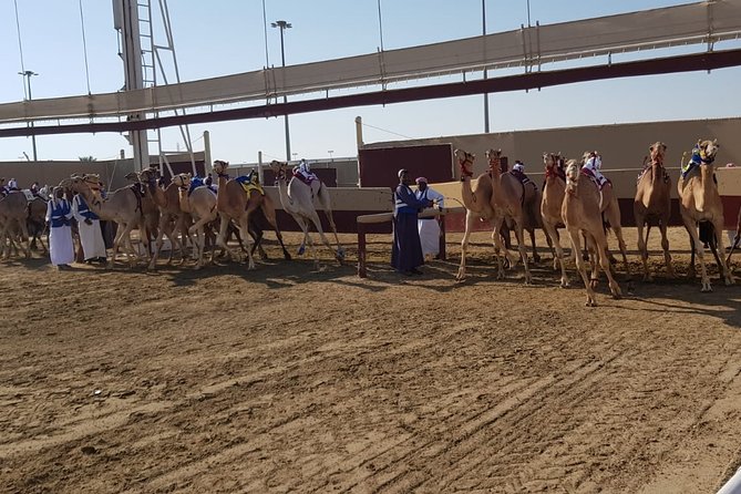 Half-Day Private Guided Camel Race Tour in Qatar - Tour Details and Options