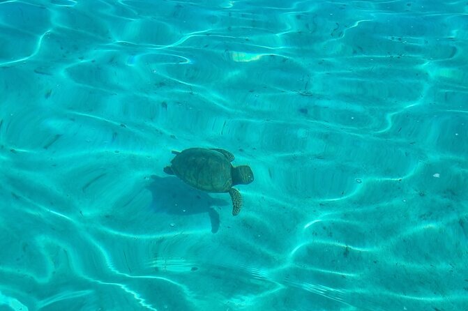 Half-Day Private Lagoon Tour by Boat in French Polynesia - Local Cultural Experiences