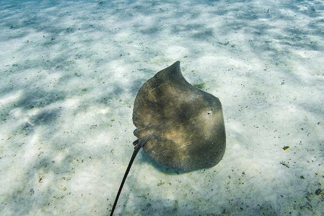 Half-Day Private Luxury Tour From Bora Bora - Cancellation Policy and Refund Options