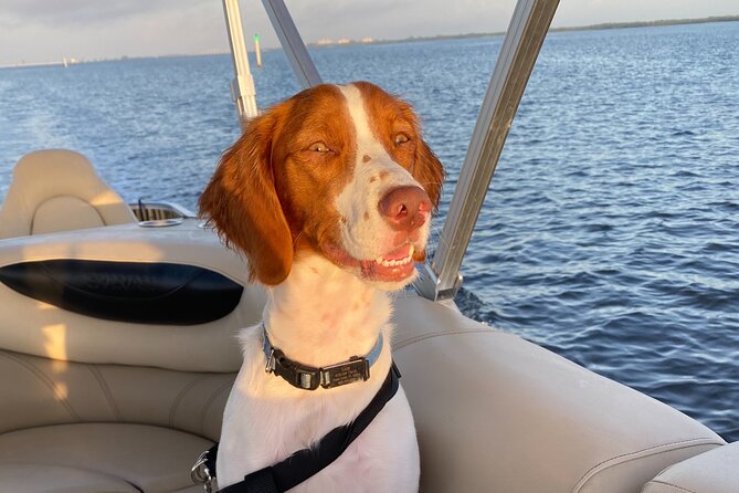 Half-Day Private Tiki Boat Beach Tour From Fort Myers - Common Questions