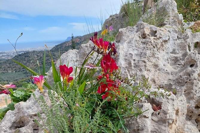 Half-Day Private Walking Tour Along the Orthodox Gorge - Optional Extras and Expenses