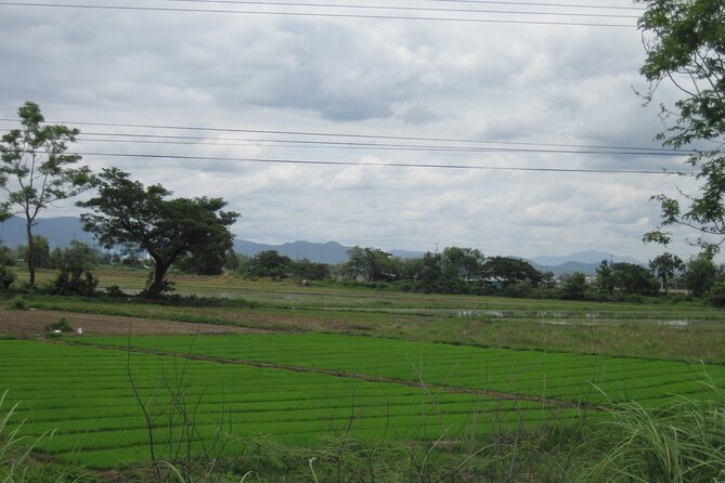 Half Day Rice Field Visions Guided Tour From Chiang Mai - Additional Information