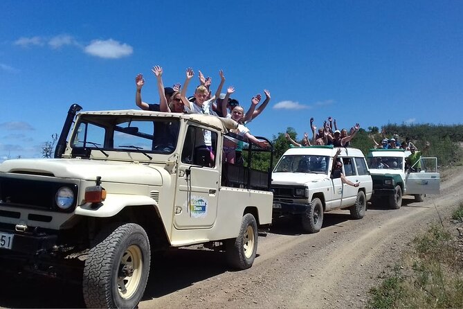Half Day Safari Tour With Wine Tasting - Directions