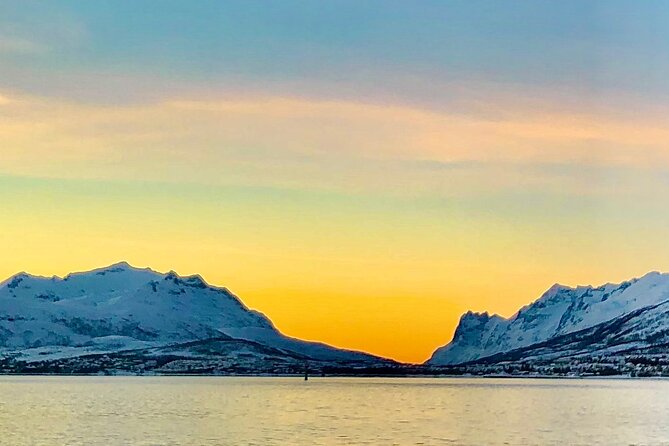 Half-Day Scenic Wildlife & Photographic Fjord Tour. - Meeting Point and Pickup Information