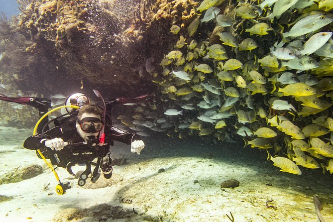 Half-Day Scuba Diving in Playa Del Carmen for Small-Group - Additional Information and Tips