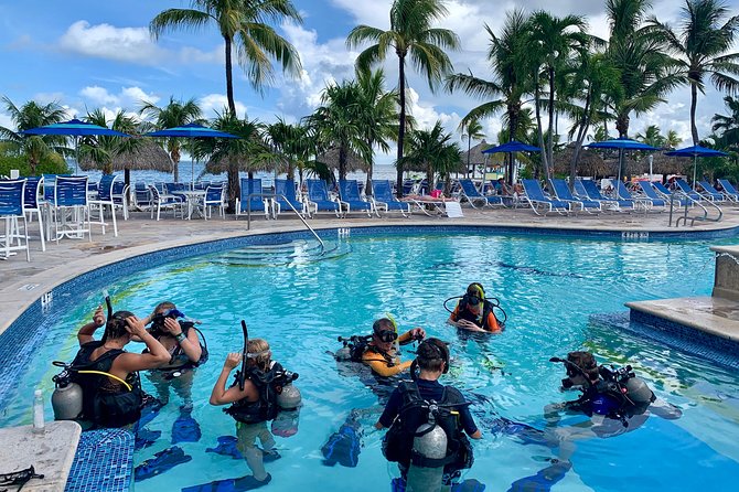 Half Day Scuba Diving Trip in the Florida Keys - Common Questions