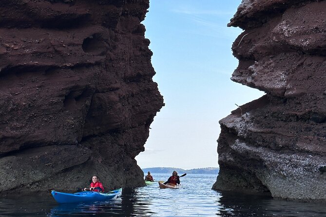 Half Day Sea Kayak Guided Tour - Traveler Photos and Reviews