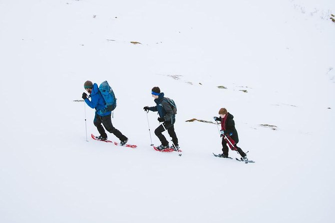 Half Day Snowshoe Tour - Location and Accessibility