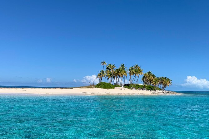 Half Day Swimming Pigs on Rose Island, Snorkeling and Lunch - Booking and Pricing Information