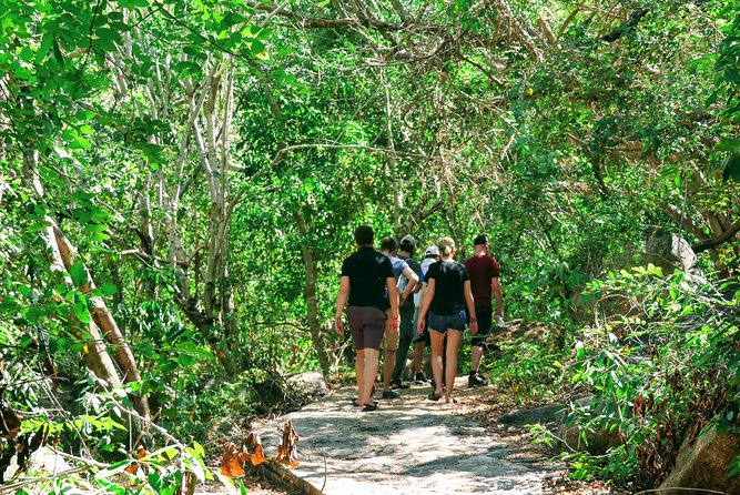 Half Day Tour Hiking La Roqueta Island and Lunch - Additional Information and Requirements