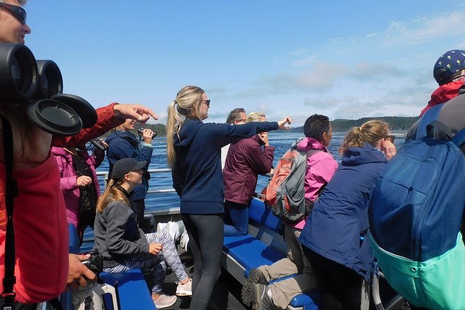 Half-Day Whale Watching Adventure From Telegraph Cove - Host Response 1