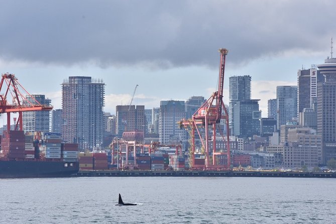 Half-Day Whale Watching Adventure From Vancouver - Boarding and Meeting Point