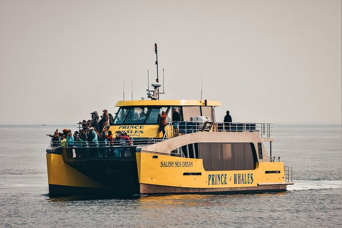 Half-Day Whale Watching Adventure From Victoria - Cancellation Policy
