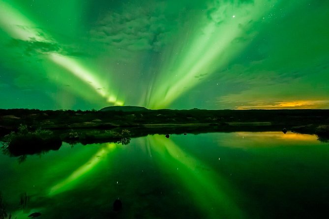 Half-Day Whale Watching and Northern Lights Combo Tour - Positive Experiences