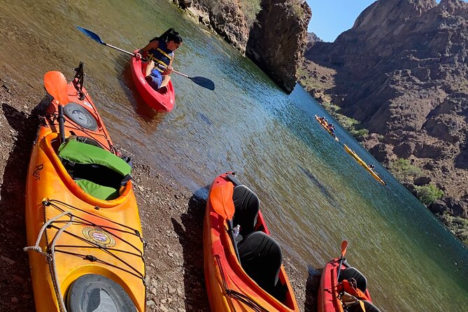 Half-Day Willow Beach Kayak Tour With Optional Pick up - Common Questions