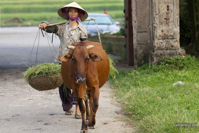 Hanoi: Duong Lam Historical Village Private Day Tour - Directions