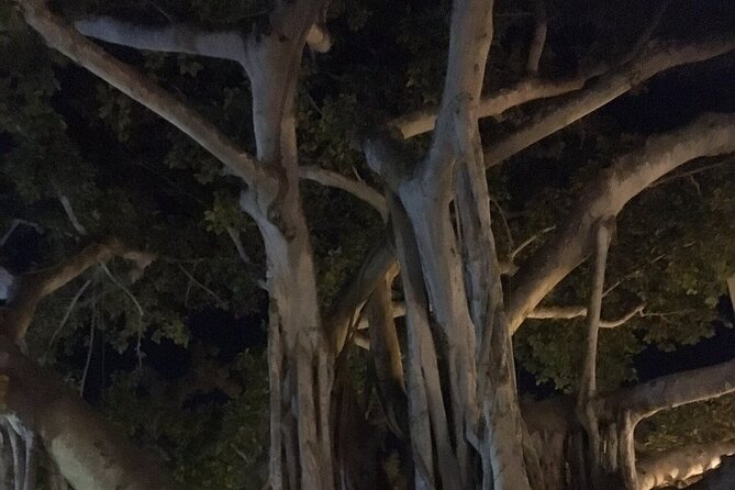 Haunted History of Fort Myers Walking Tour - Testimonials