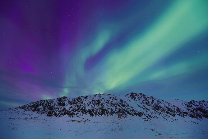 Heated and Enclosed Snow ATV Tour in Alaska Open All Year Round - Location and Duration