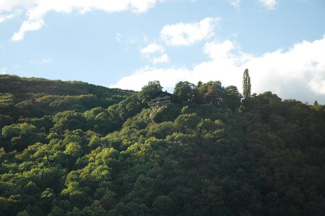 Heidelberg and Rhine Valley Day Trip With Wine Tasting and Dinner From Frankfurt - Positive Feedback on the Guide