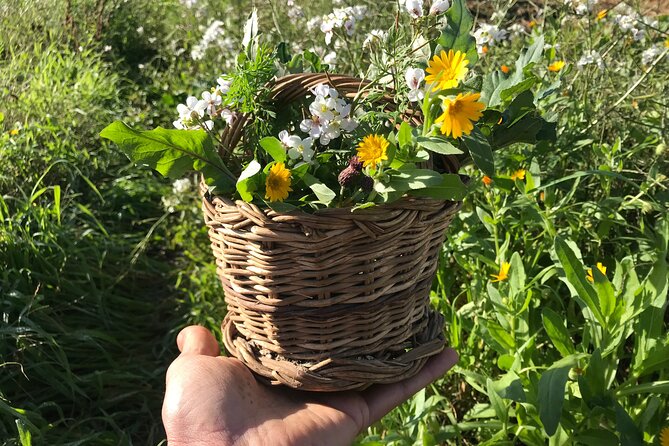 HERBS LAB - From Plant to Glass - What to Expect