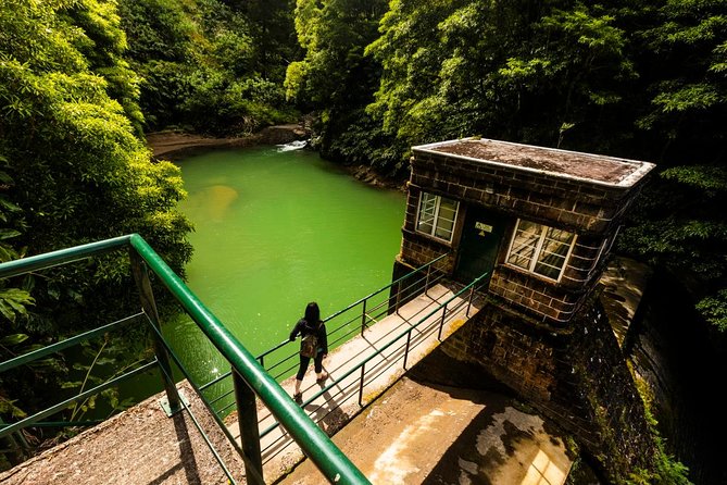 Hidden Gems of Sao Miguel Island Full Day Tour With Lunch - Positive Reviews About the Tour Guide and Experience