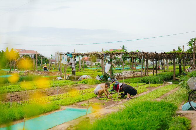 Hidden Hoi An Private Adventure by Electric Car - Common Questions