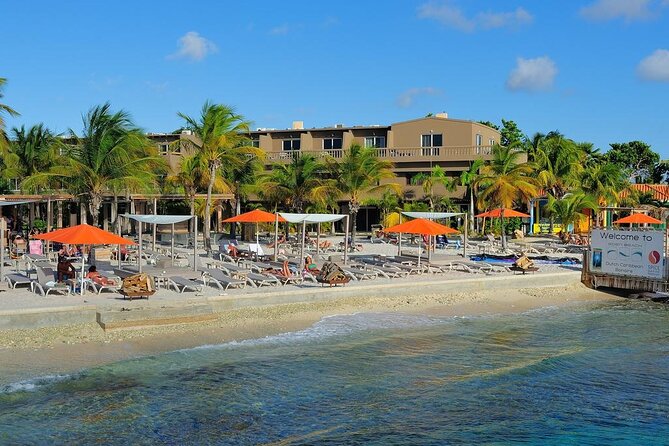 Highlights of Bonaire & Cultural Experience - Knowledgeable Guide and Great Photo Stops