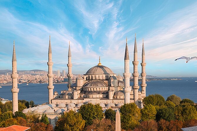 Highlights of Istanbul in One Day - Included Transportation: Saving Time and Money