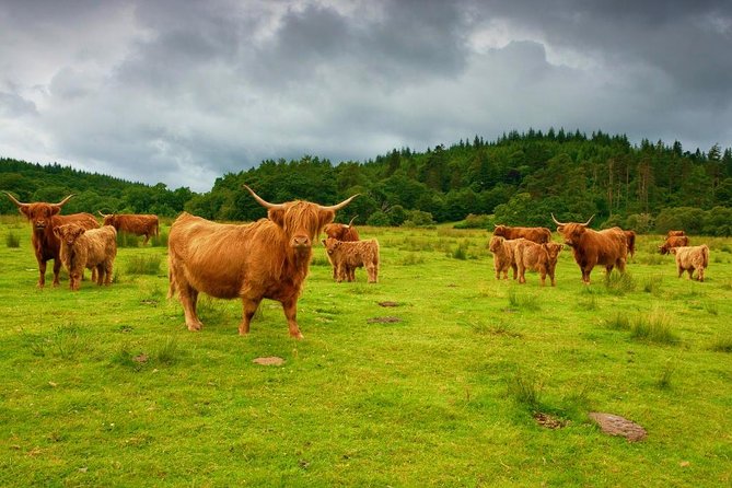 Highlights of Scotland Custom Private Tour With Scottish Local - Great Day Trip From Edinburgh