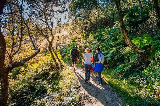 Hike at The Camino, Private Day Tour - Common Questions