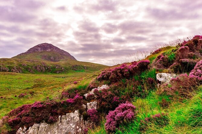 Hike Connemara National Park Depart From Galway City. Galway. Guided. Full Day. - Common Questions