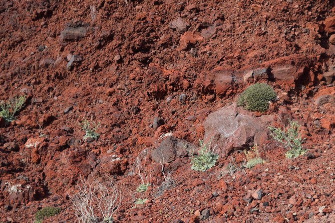 Hiking Activity Through the Volcanic Land of Wonder - Experience Thrilling Adventures