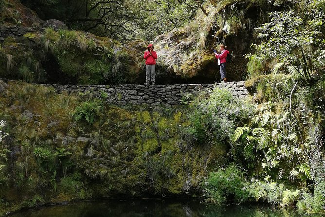 Hiking and Trekking Tours in Madeira - Tour Itinerary and Activities