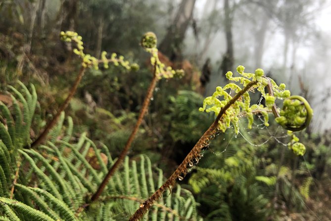 Hiking Fansipan in 1 Day - Common Questions (FAQs)