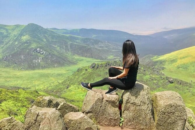 Hiking in Lima, Lomas De Lachay - Hike Overview and Wildlife Spotting