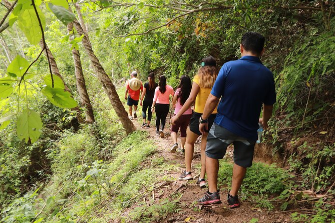 Hiking to Vallarta Botanical Garden. - Tips for a Memorable Experience