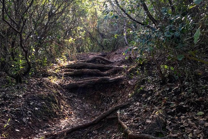 Hiking Tour to the Highest Point of Arrábida Mountain - Directions